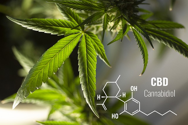 medical conditions that CBD could help relieve